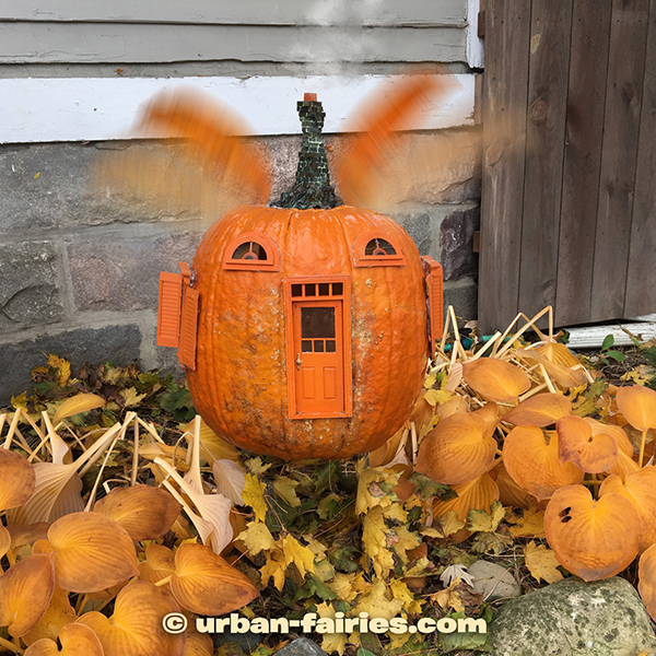 fairy door, Pumpkin, fairy jack-o-lantern, urban-fairies