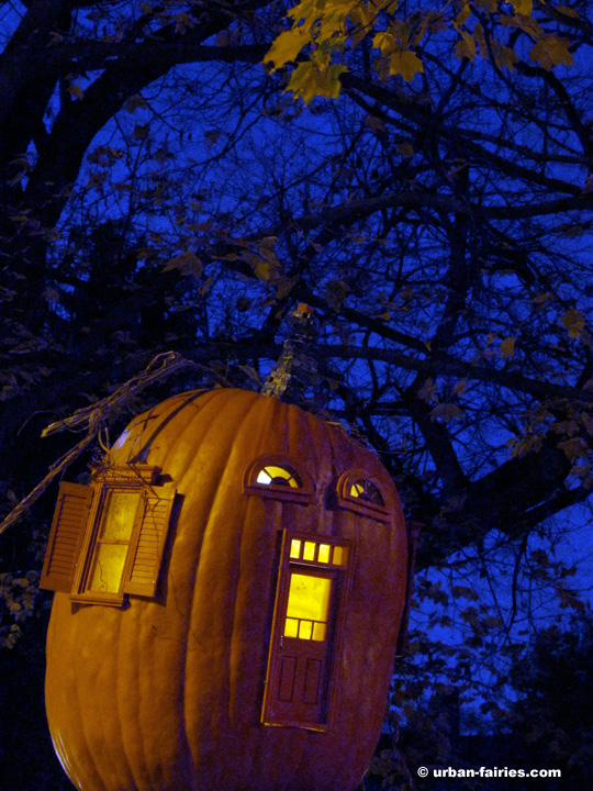 Fairy door, fairy doors of Ann Arbor, urban-fairies, jack-o-lantern